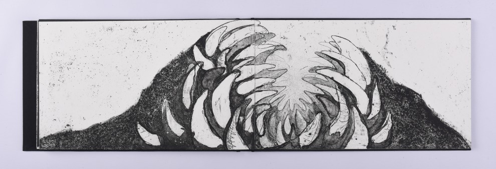 31. Kraken, akwaforta, akwatinta, odprysk, 21,5 x 73